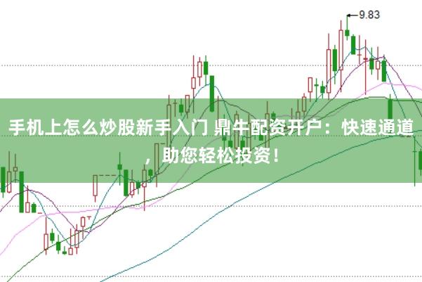 手机上怎么炒股新手入门 鼎牛配资开户：快速通道，助您轻松投资！