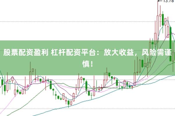股票配资盈利 杠杆配资平台:放大收益,风险需谨慎!