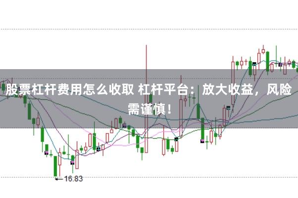 股票杠杆费用怎么收取 杠杆平台:放大收益,风险需谨慎!