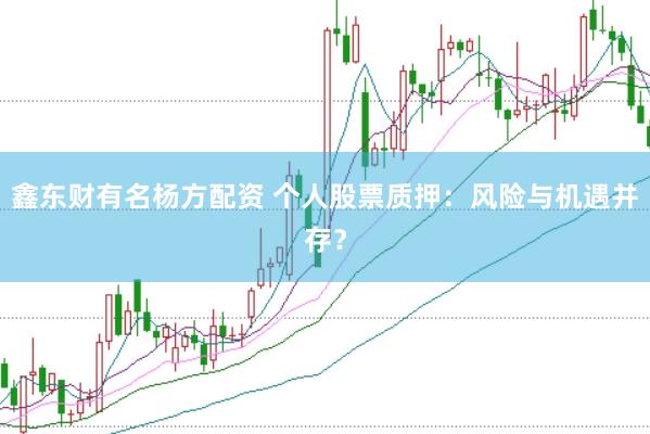 鑫东财有名杨方配资 个人股票质押：风险与机遇并存？