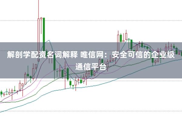 解剖学配资名词解释 唯信网:安全可信的企业级通信平台