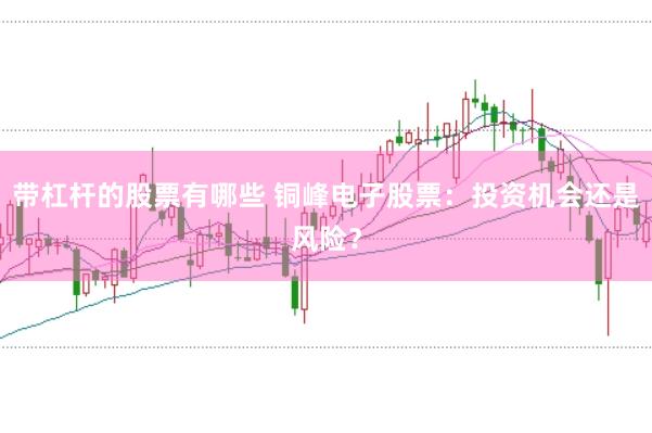 带杠杆的股票有哪些 铜峰电子股票:投资机会还是风险?
