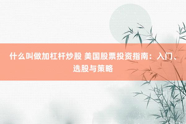 什么叫做加杠杆炒股 美国股票投资指南：入门、选股与策略