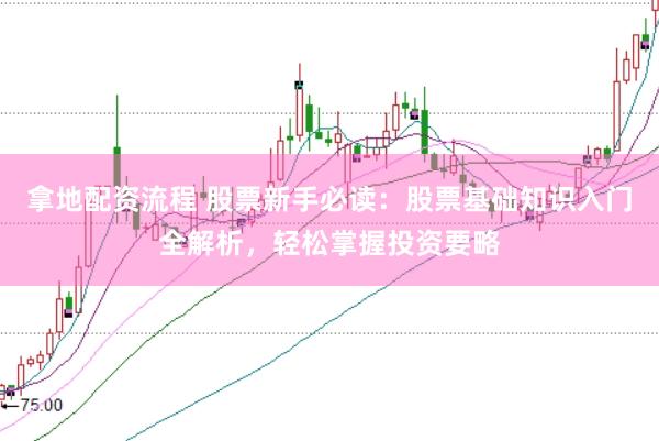 拿地配资流程 股票新手必读:股票基础知识入门全解析,轻松掌握投资要略