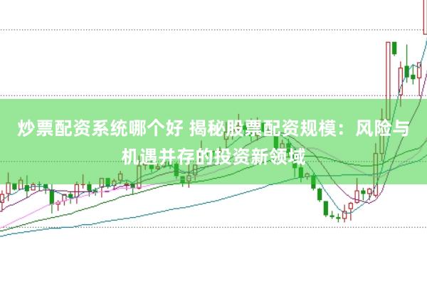 炒票配资系统哪个好 揭秘股票配资规模：风险与机遇并存的投资新领域