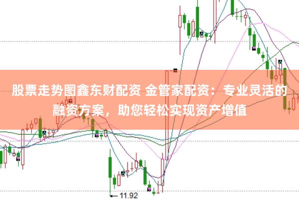 股票走势图鑫东财配资 金管家配资：专业灵活的融资方案，助您轻松实现资产增值