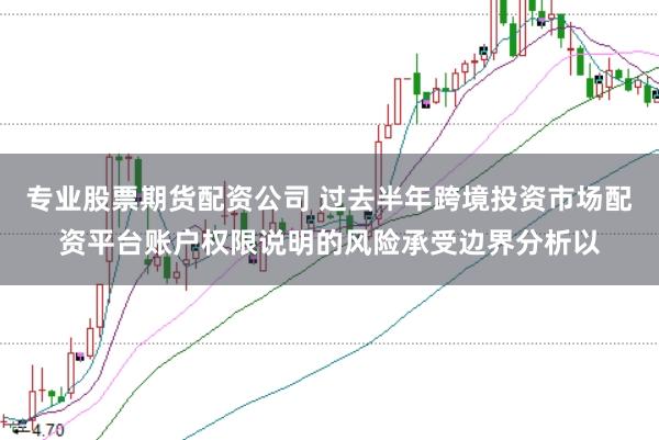 专业股票期货配资公司 过去半年跨境投资市场配资平台账户权限说明的风险承受边界分析以