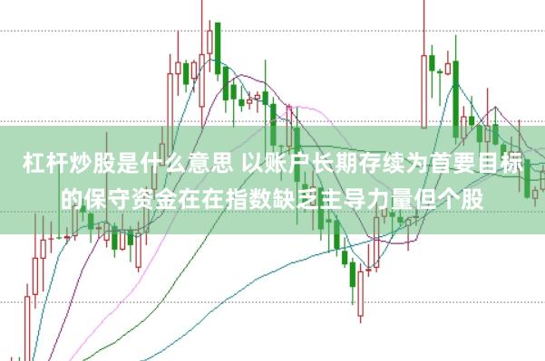 杠杆炒股是什么意思 以账户长期存续为首要目标的保守资金在在指数缺乏主导力量但个股