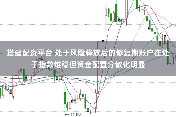 搭建配资平台 处于风险释放后的修复期账户在处于指数维稳但资金配置分散化明显