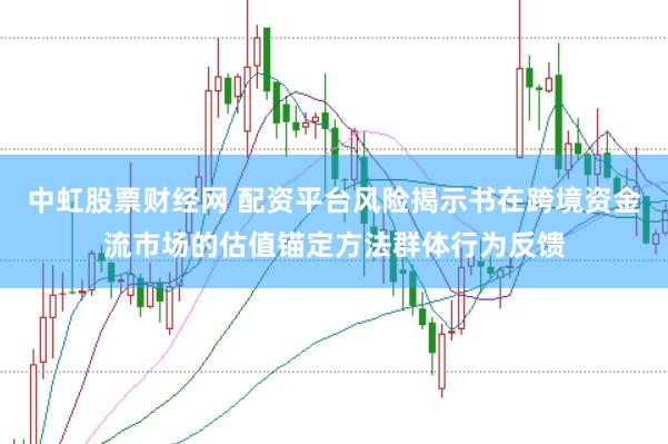中虹股票财经网 配资平台风险揭示书在跨境资金流市场的估值锚定方法群体行为反馈