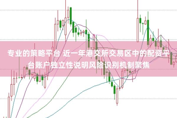 专业的策略平台 近一年港交所交易区中的配资平台账户独立性说明风险识别机制聚焦