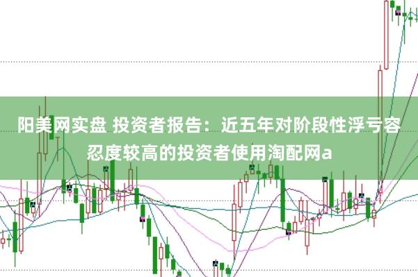 阳美网实盘 投资者报告：近五年对阶段性浮亏容忍度较高的投资者使用淘配网a