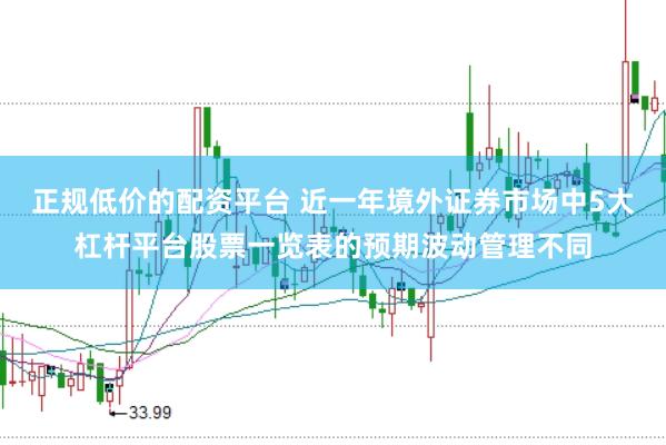 正规低价的配资平台 近一年境外证券市场中5大杠杆平台股票一览表的预期波动管理不同