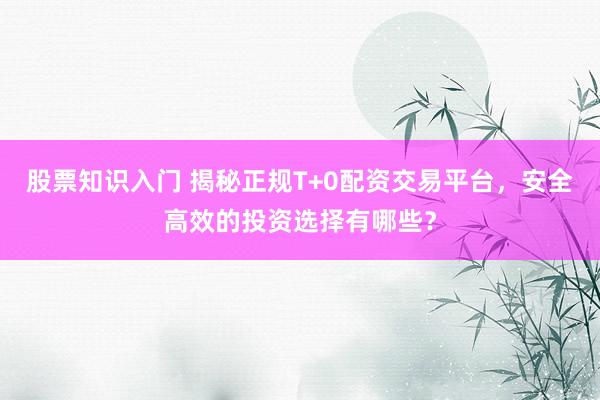股票知识入门 揭秘正规T+0配资交易平台，安全高效的投资选择有哪些？