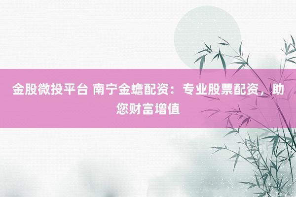 金股微投平台 南宁金蟾配资:专业股票配资,助您财富增值