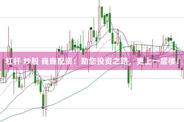 杠杆 炒股 巍巍配资:助您投资之路,更上一层楼!