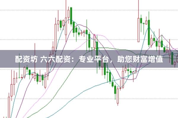 配资坊 六六配资：专业平台，助您财富增值