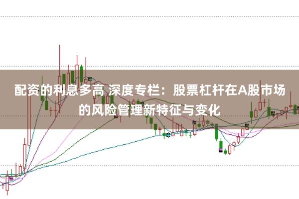 配资的利息多高 深度专栏：股票杠杆在A股市场的风险管理新特征与变化