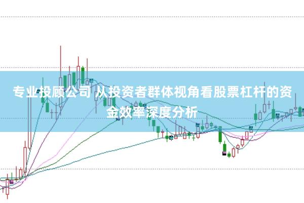 专业投顾公司 从投资者群体视角看股票杠杆的资金效率深度分析