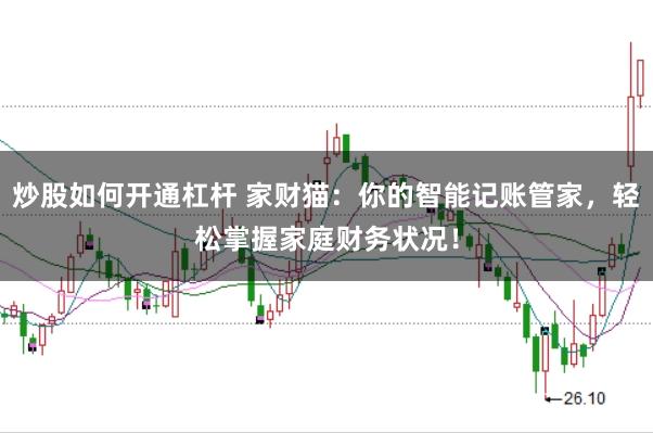 炒股如何开通杠杆 家财猫：你的智能记账管家，轻松掌握家庭财务状况！