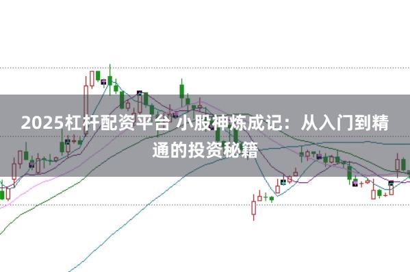 2025杠杆配资平台 小股神炼成记：从入门到精通的投资秘籍