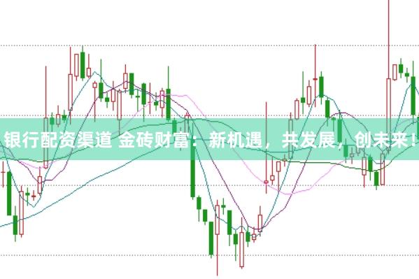 银行配资渠道 金砖财富：新机遇，共发展，创未来！