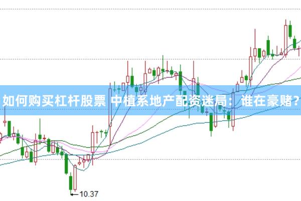 如何购买杠杆股票 中植系地产配资迷局：谁在豪赌？