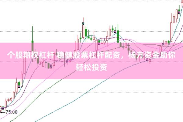 个股期权杠杆 稳健股票杠杆配资，杨方资金助你轻松投资